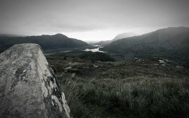 참가자가 인 요가 나비 자세를 취하고 있으며, 주변은 자연광으로 가득합니다.