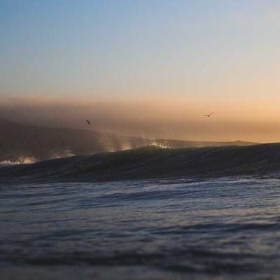 이서현 강사의 포트레이트. 따뜻한 미소와 차분한 시선이 신뢰감을 줍니다.